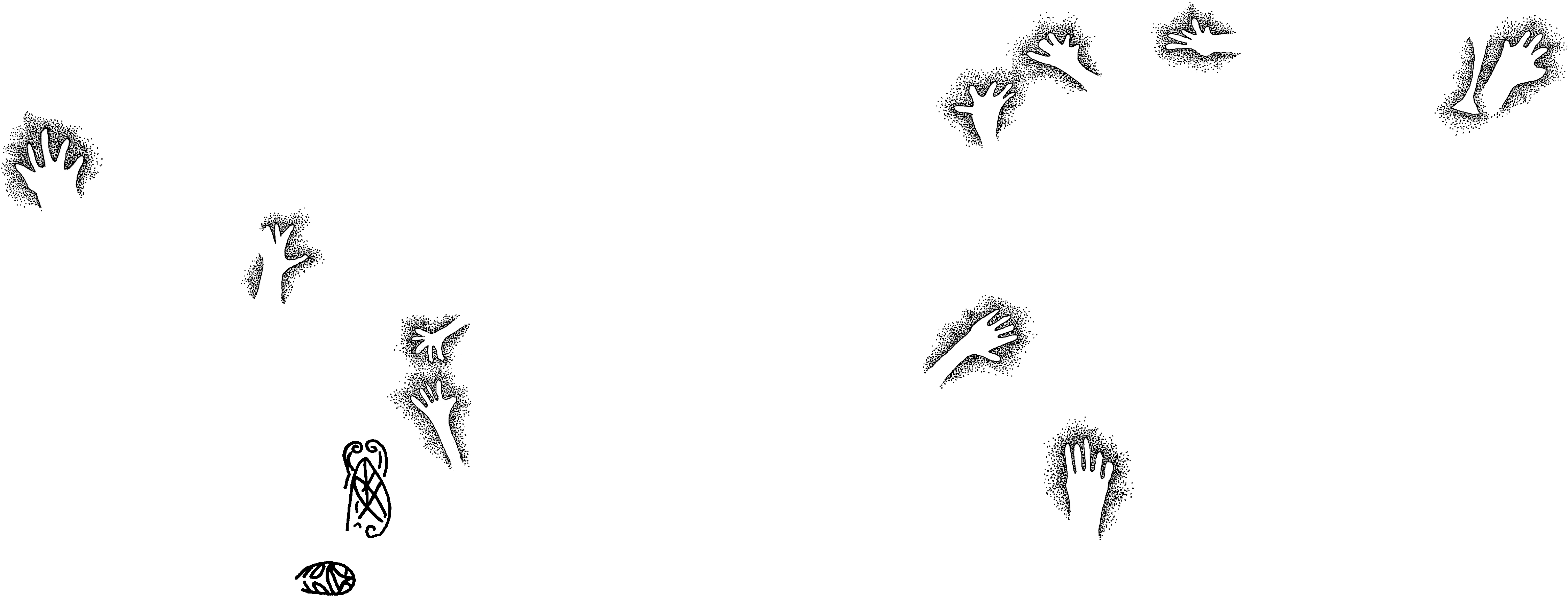 PIND/single/0005/3