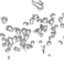 PIND/single/0005/4