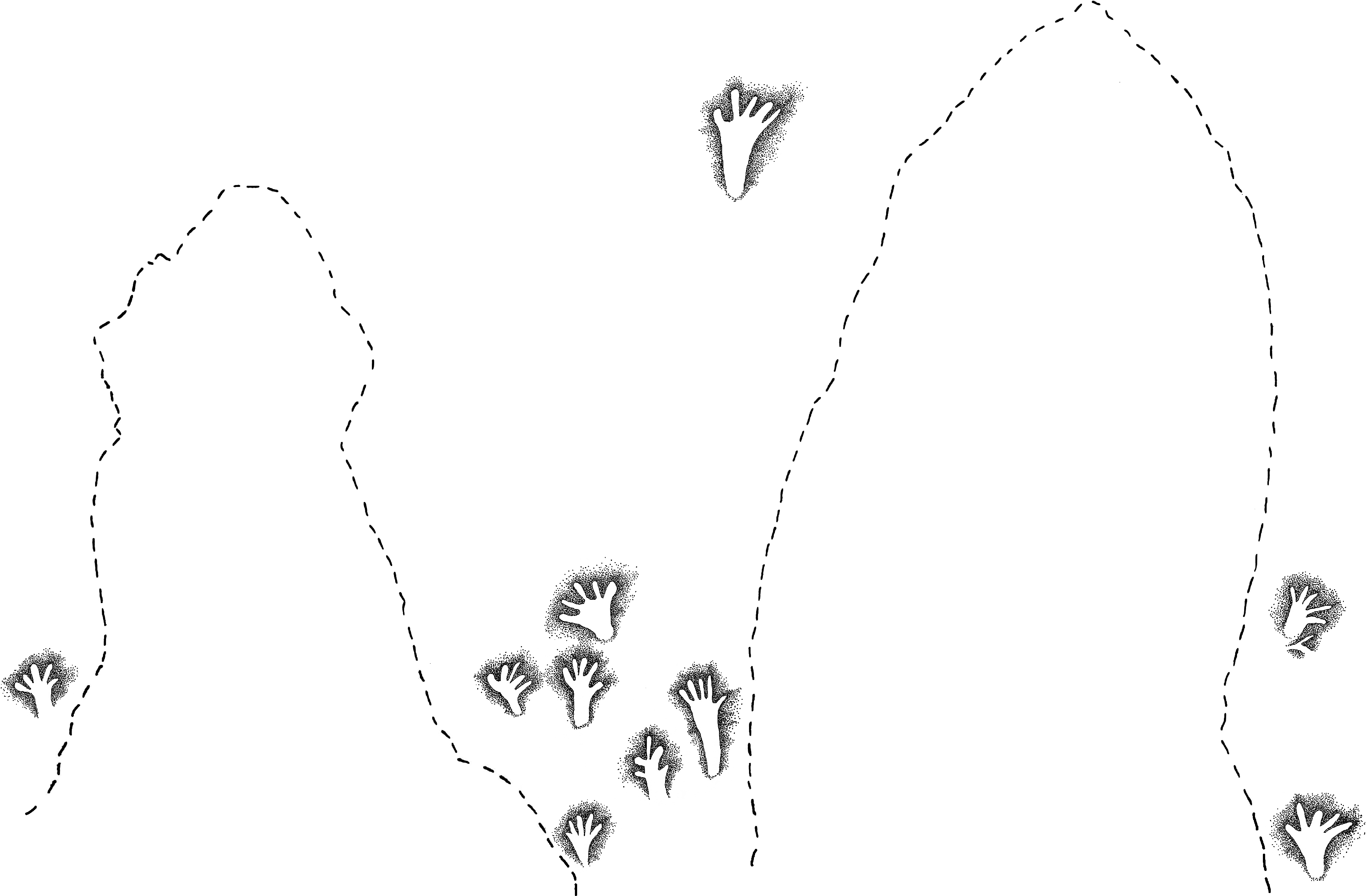 PIND/single/0005/7