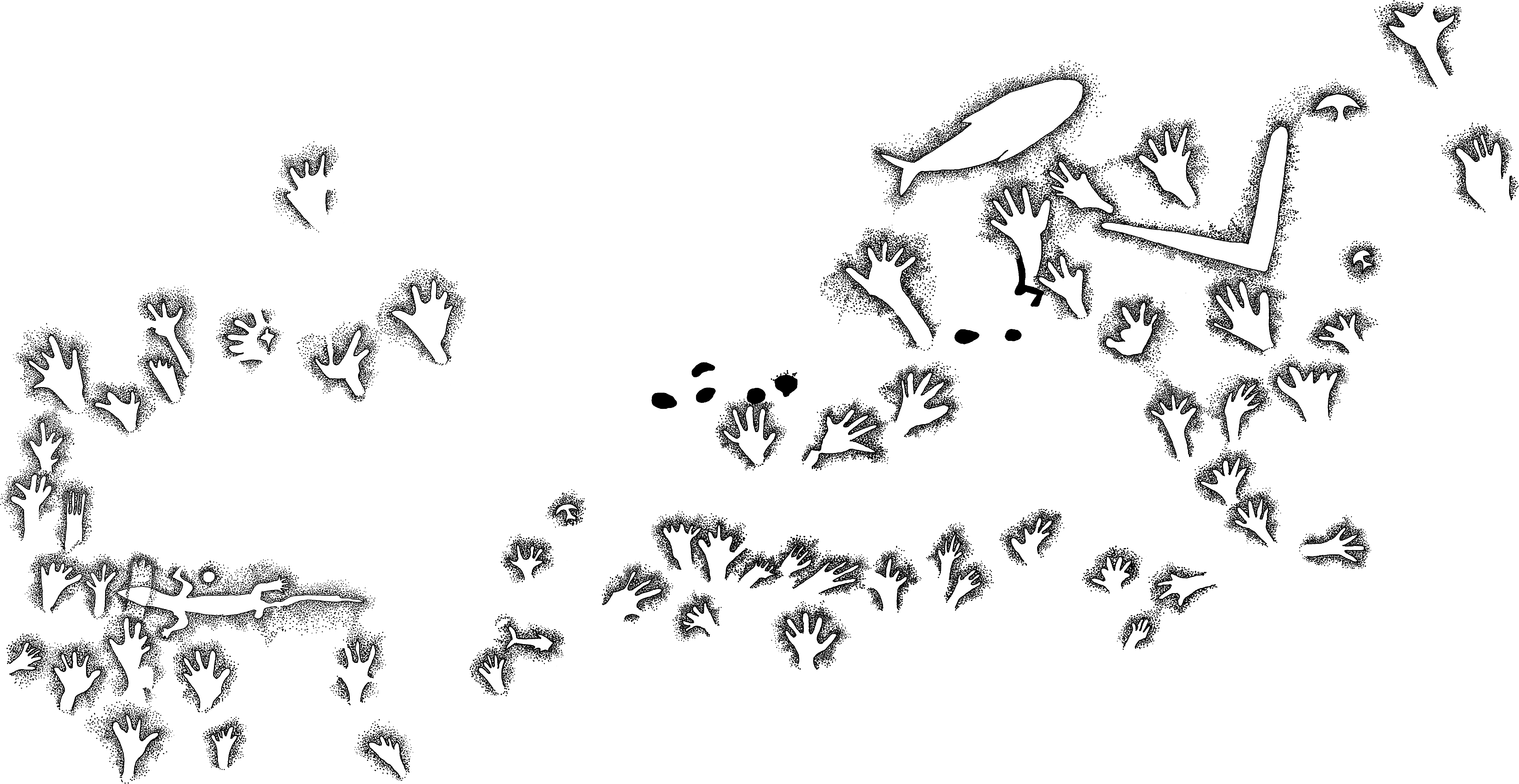 PIND/single/0005/9