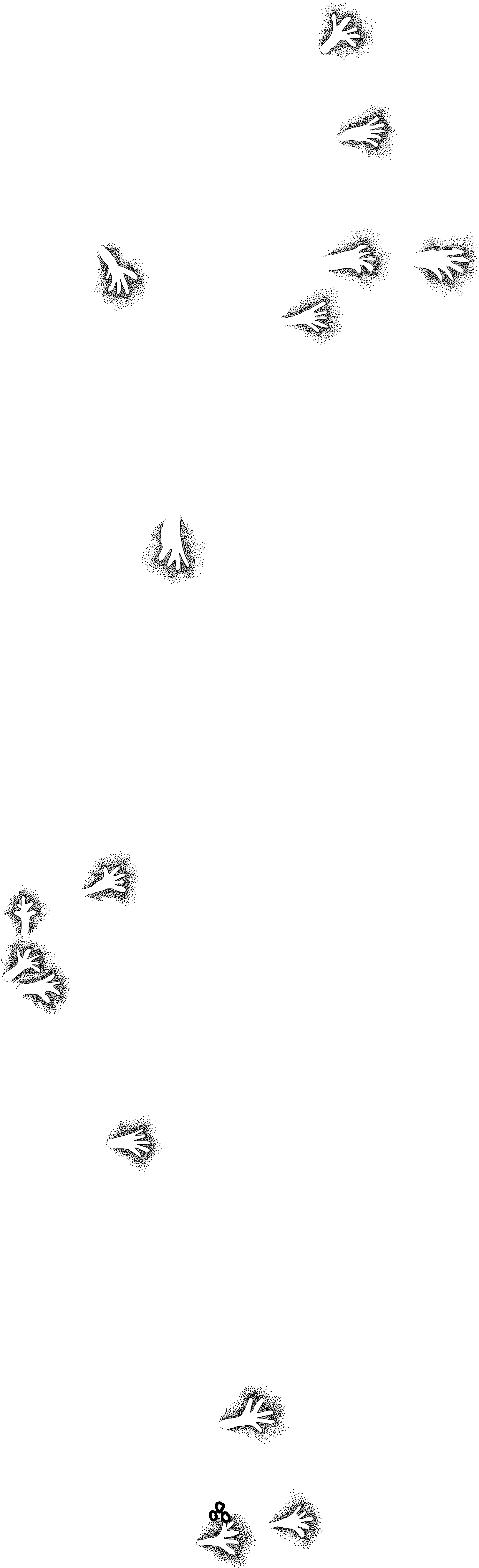 PIND/single/0005/10