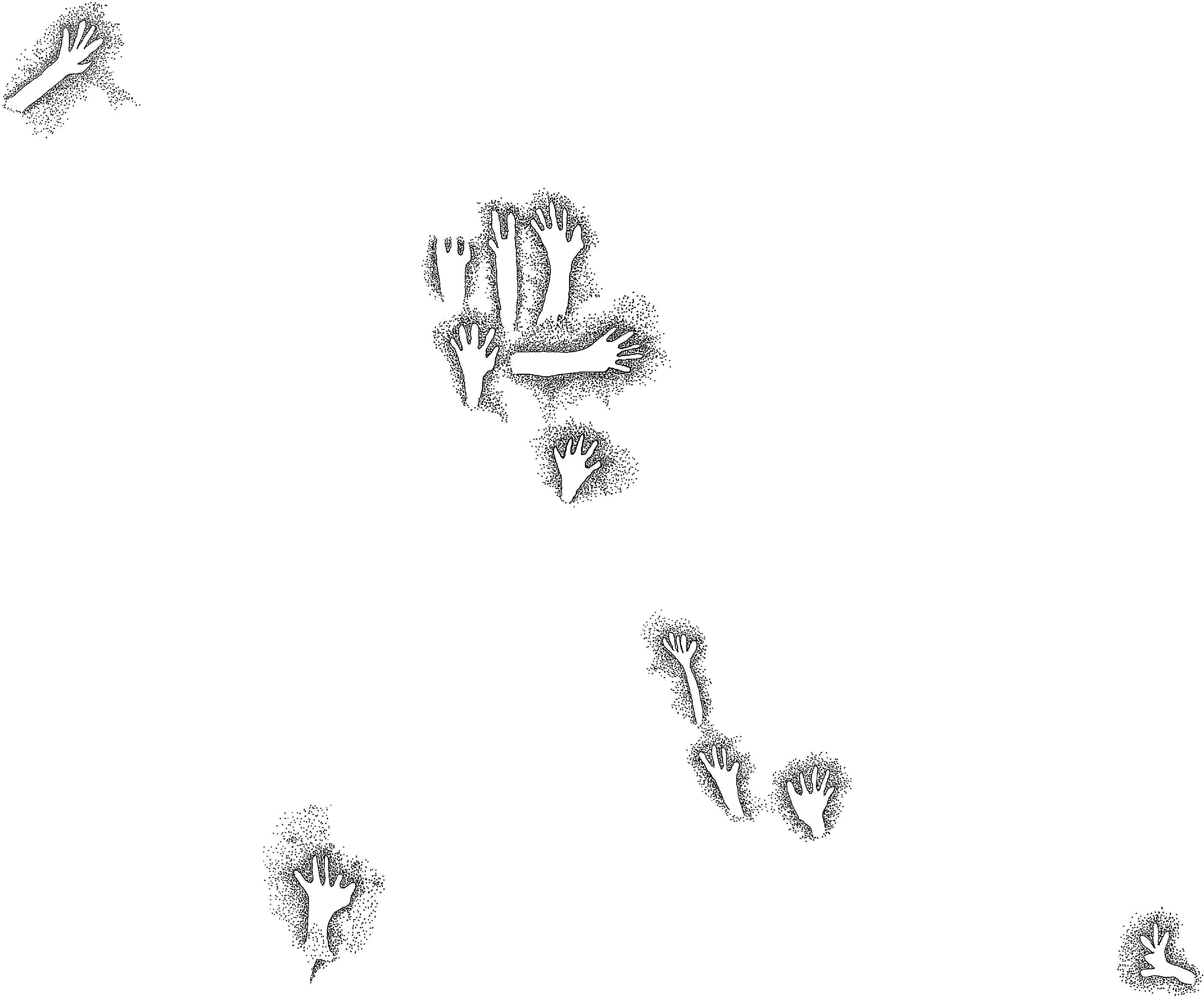 PIND/single/0005/11