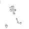 PIND/single/0005/11