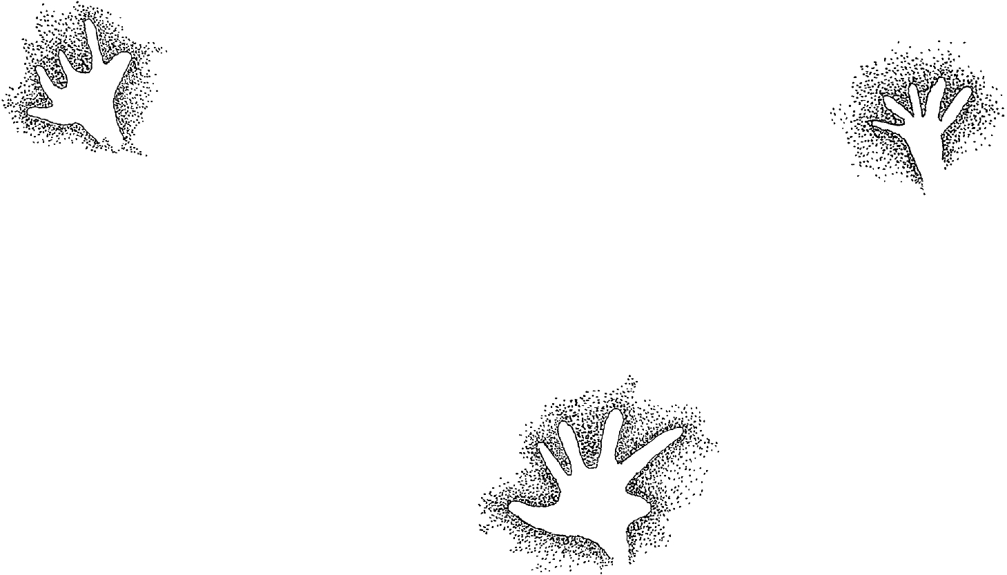 PIND/single/0005/12