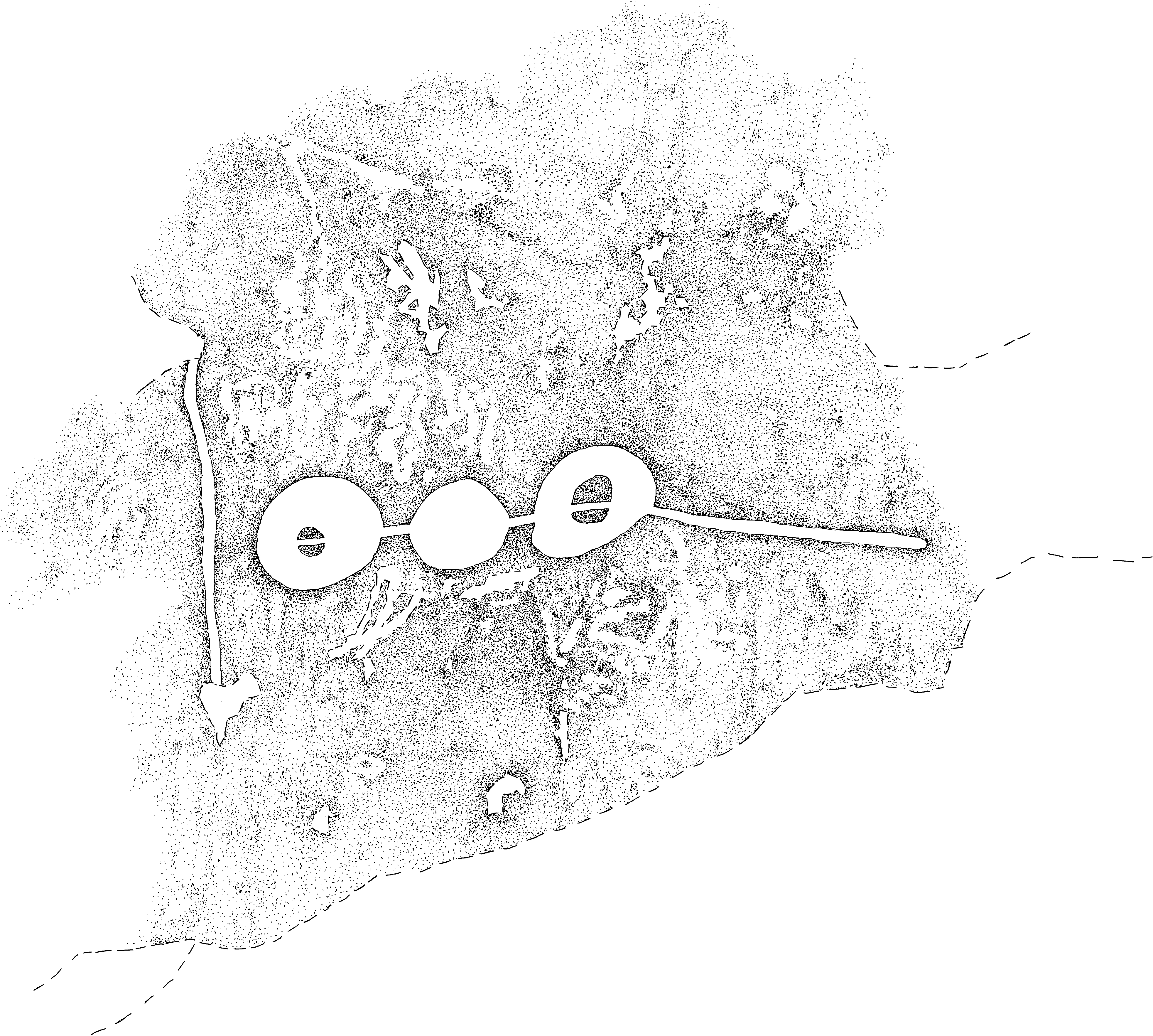 PIND/single/0005/13