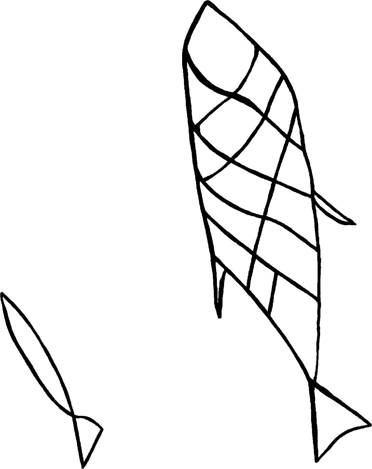 PIND/single/0005/34