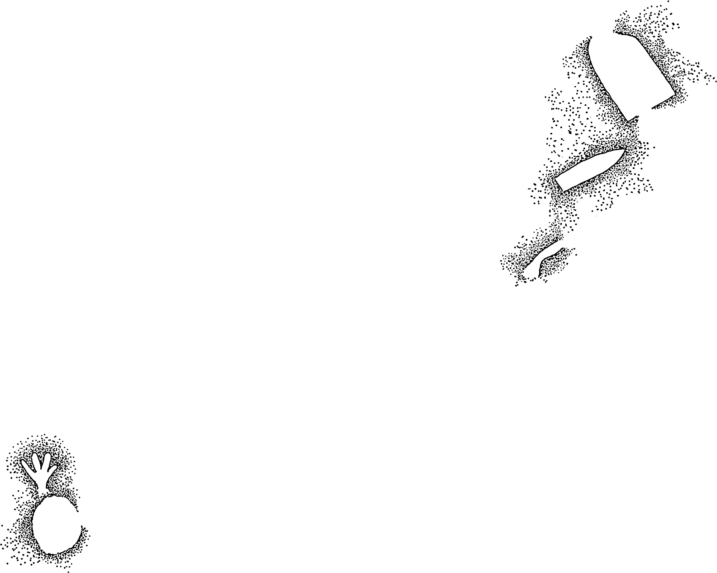 PIND/single/0005/36