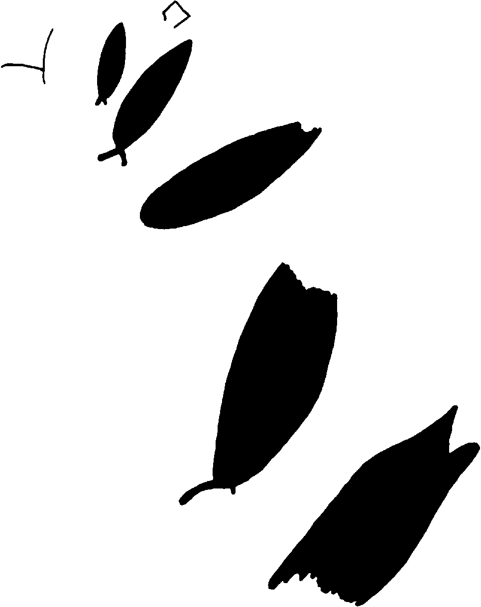 PIND/single/0005/39