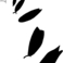 PIND/single/0005/39