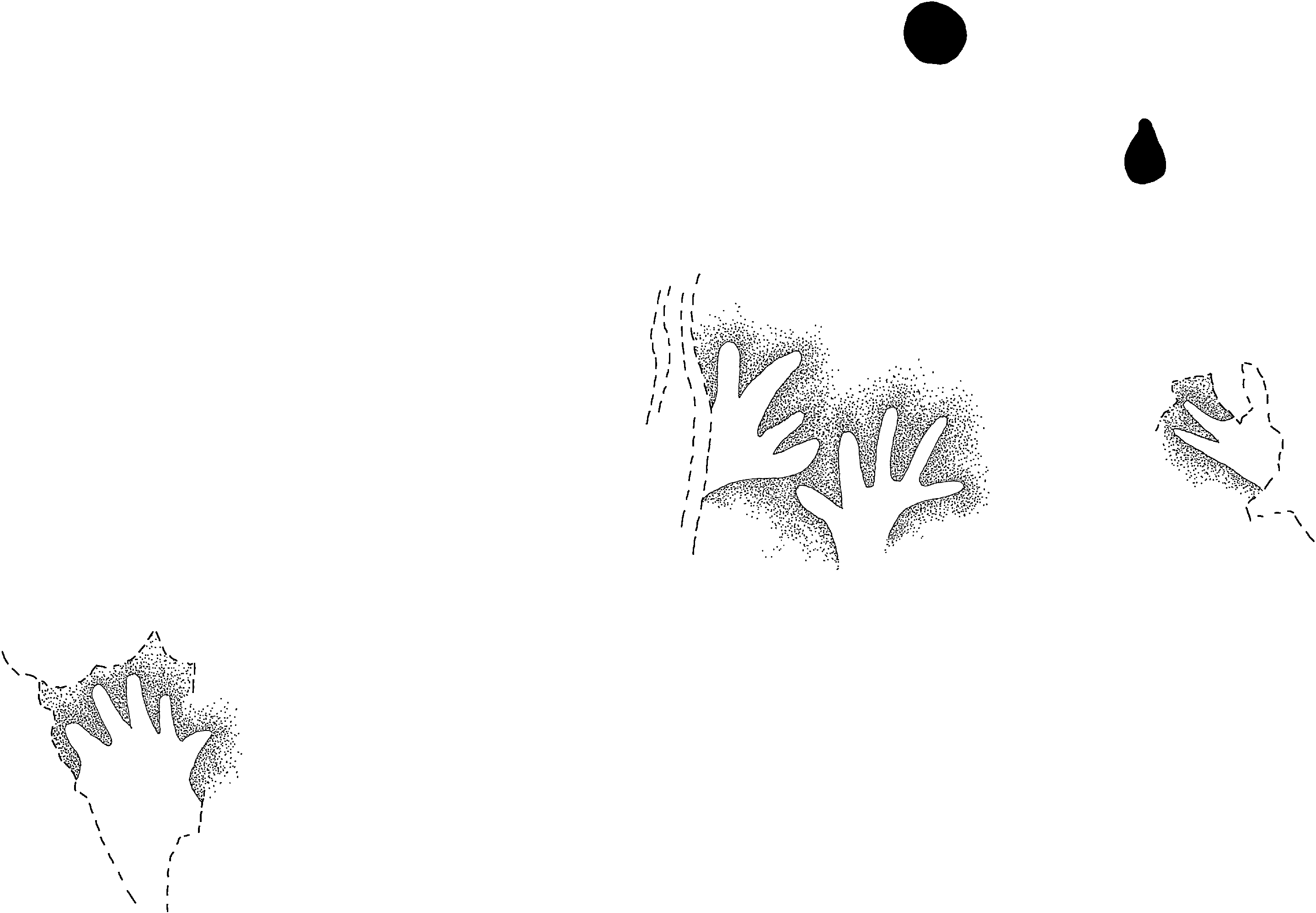 PIND/single/0005/44