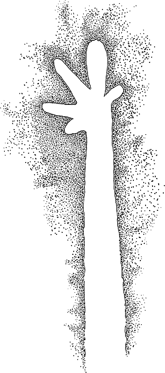 PIND/single/0005/46