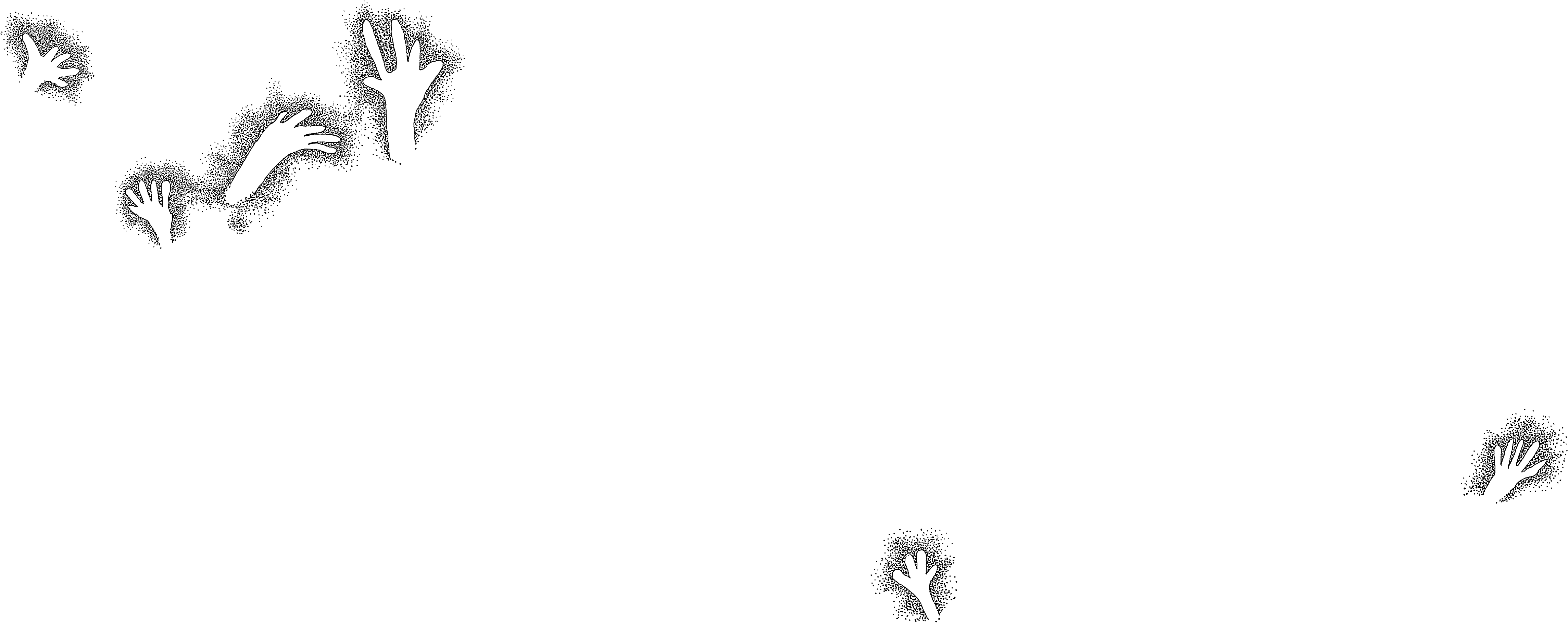 PIND/single/0005/52