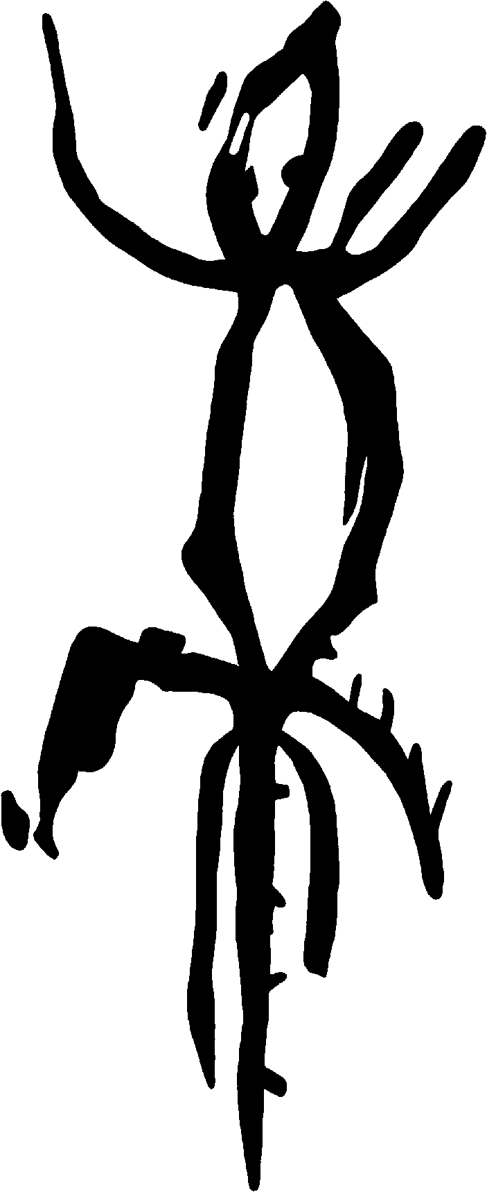 PIND/single/0005/57