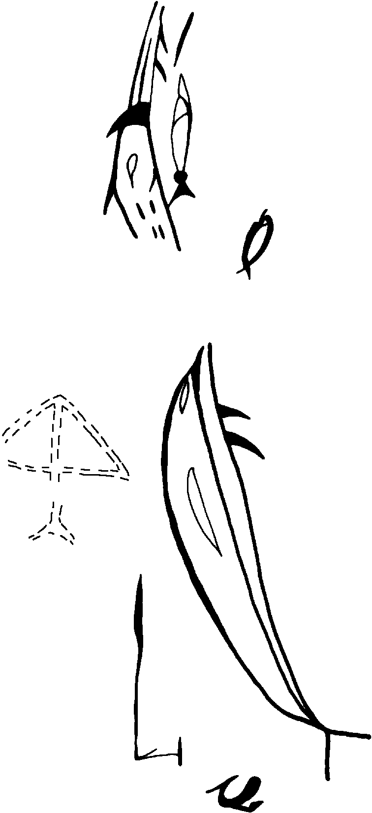 PIND/single/0005/66