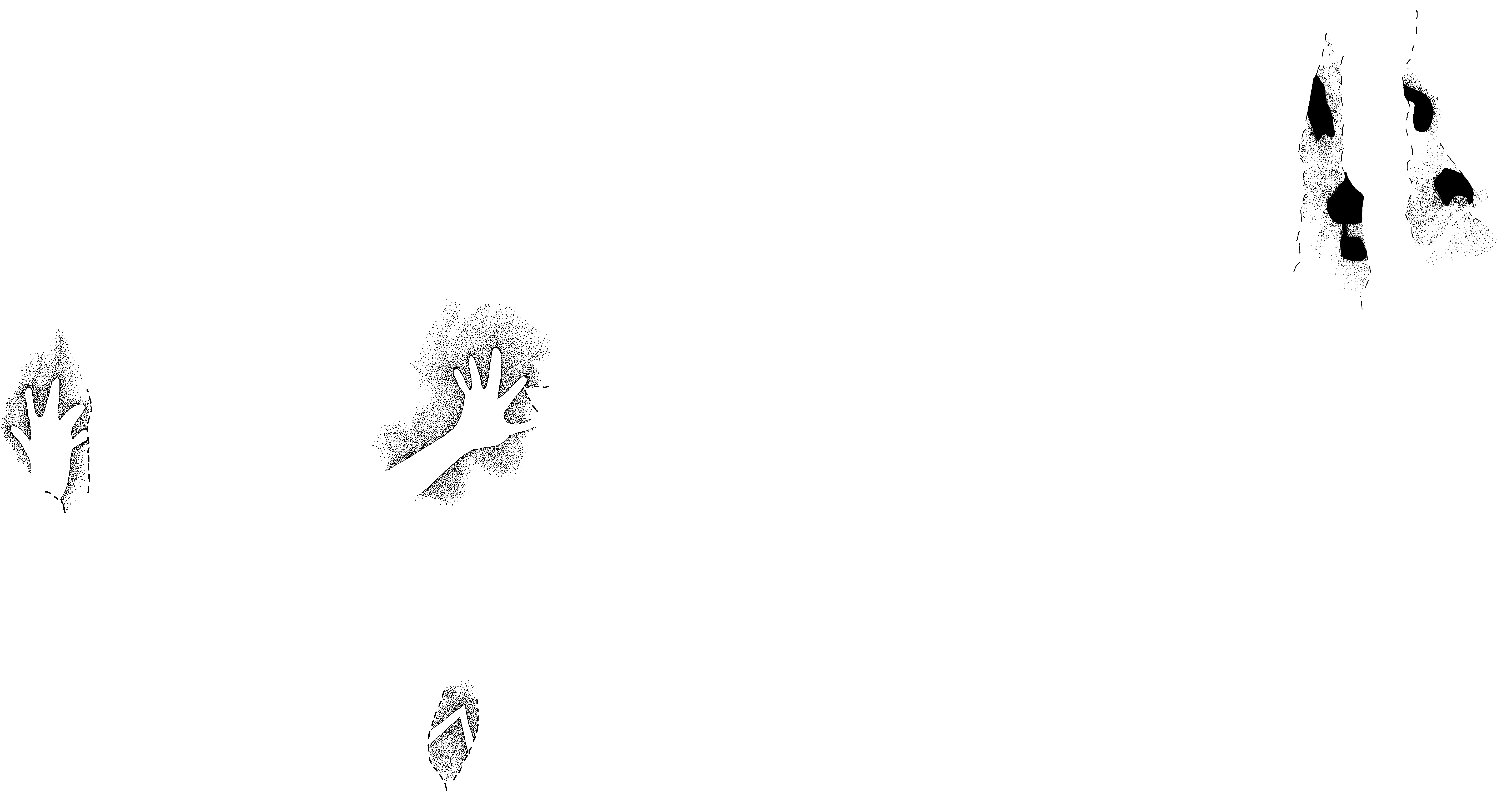 PIND/single/0005/73