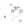 PIND/single/0005/85