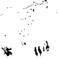 PIND/single/0005/86