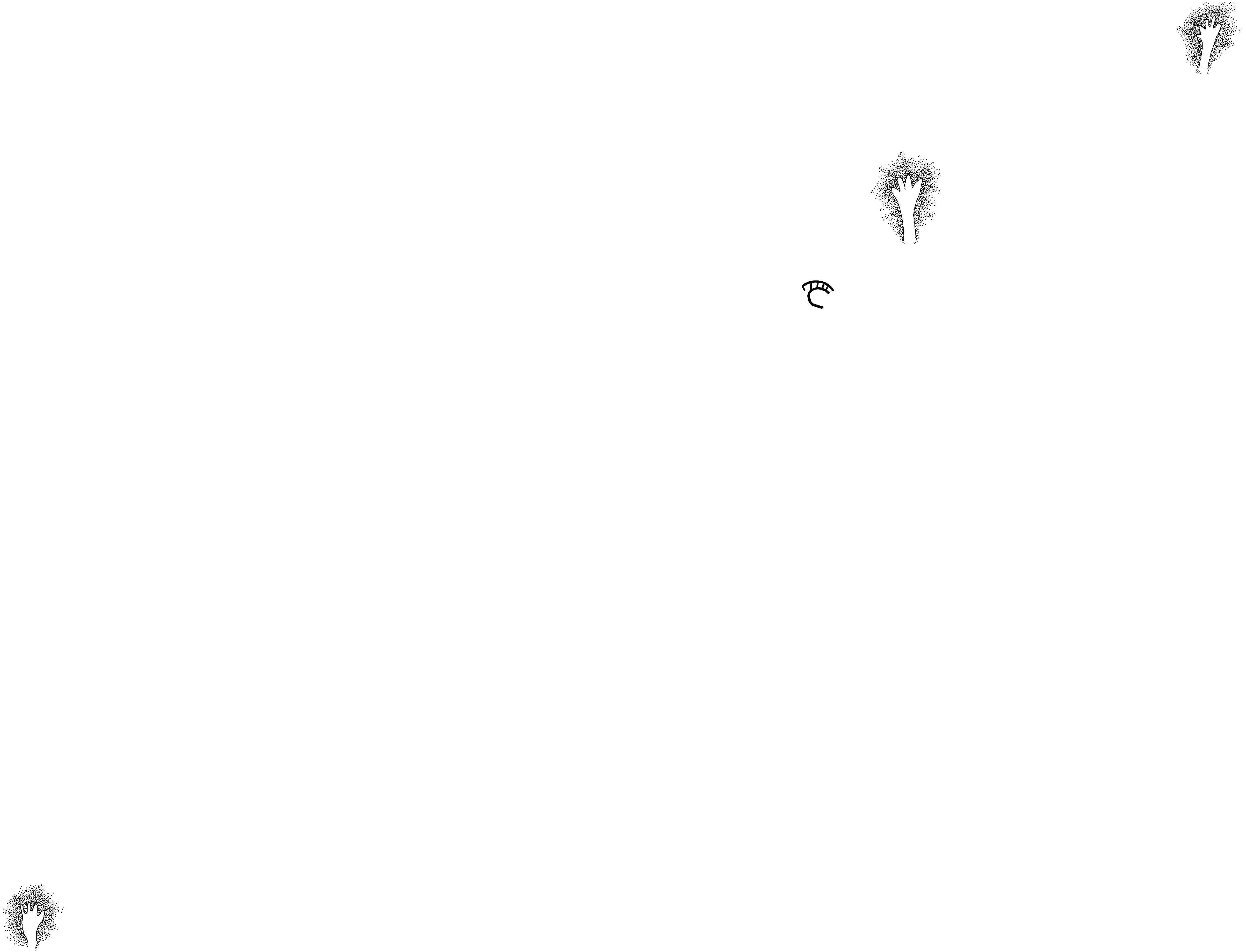 PIND/single/0005/87