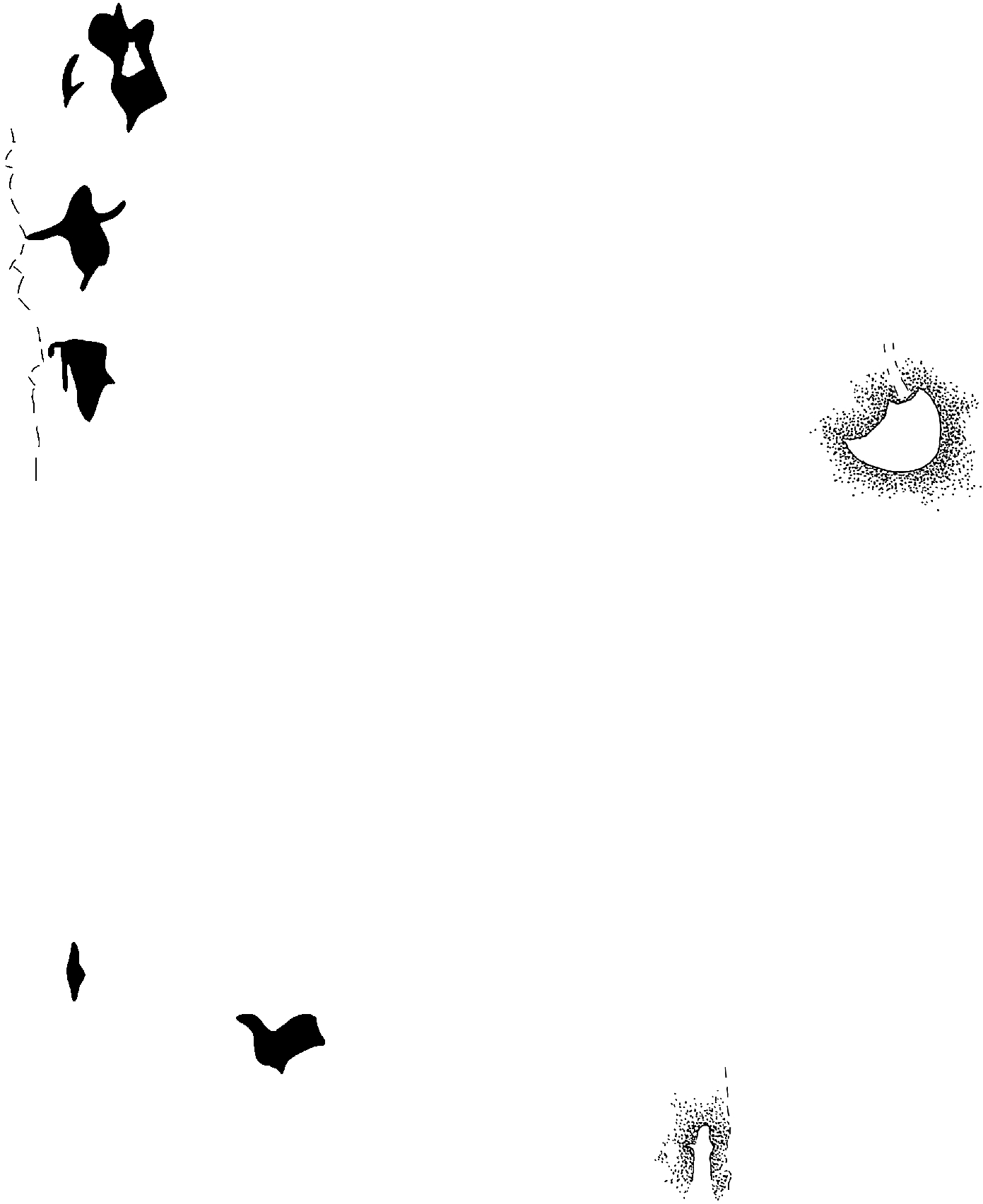 PIND/single/0005/88