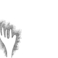 PIND/single/0005/123