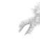 PIND/single/0005/127