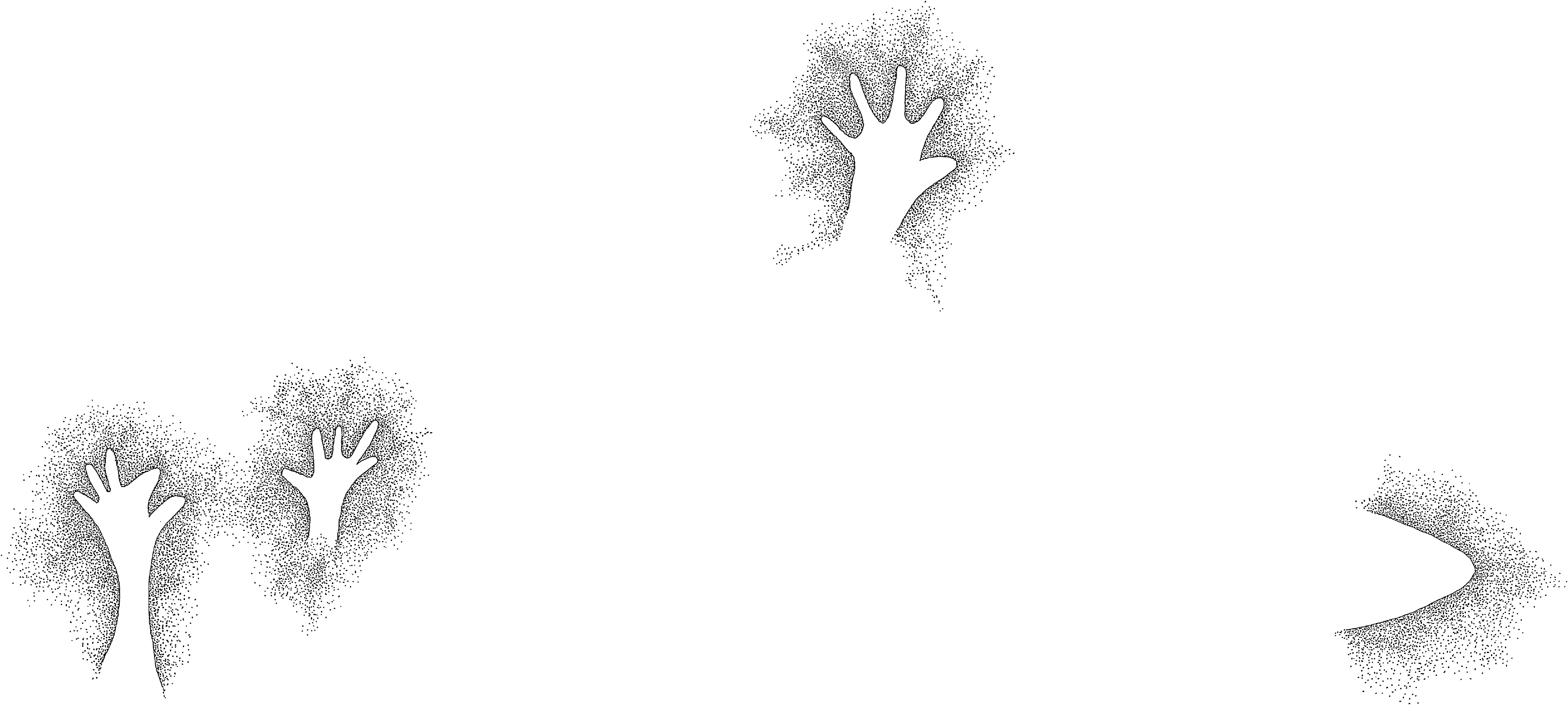 PIND/single/0005/139