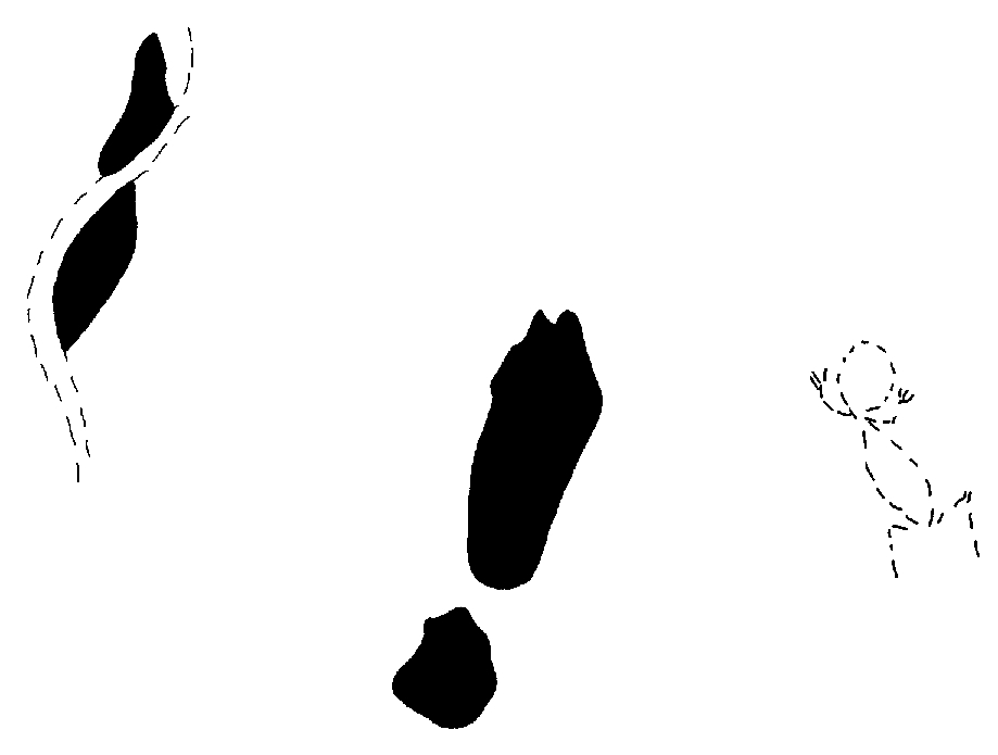 PIND/single/0005/148