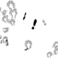 PIND/single/0005/149