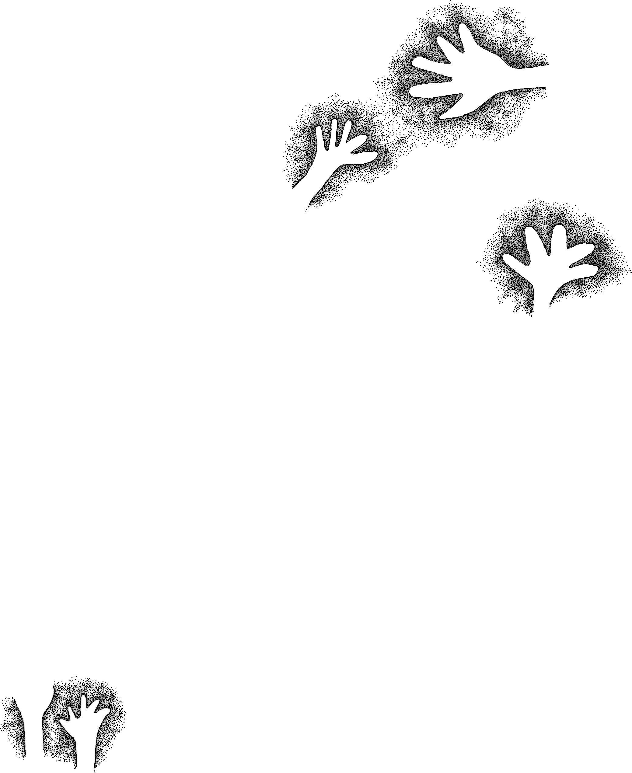 PIND/single/0005/158