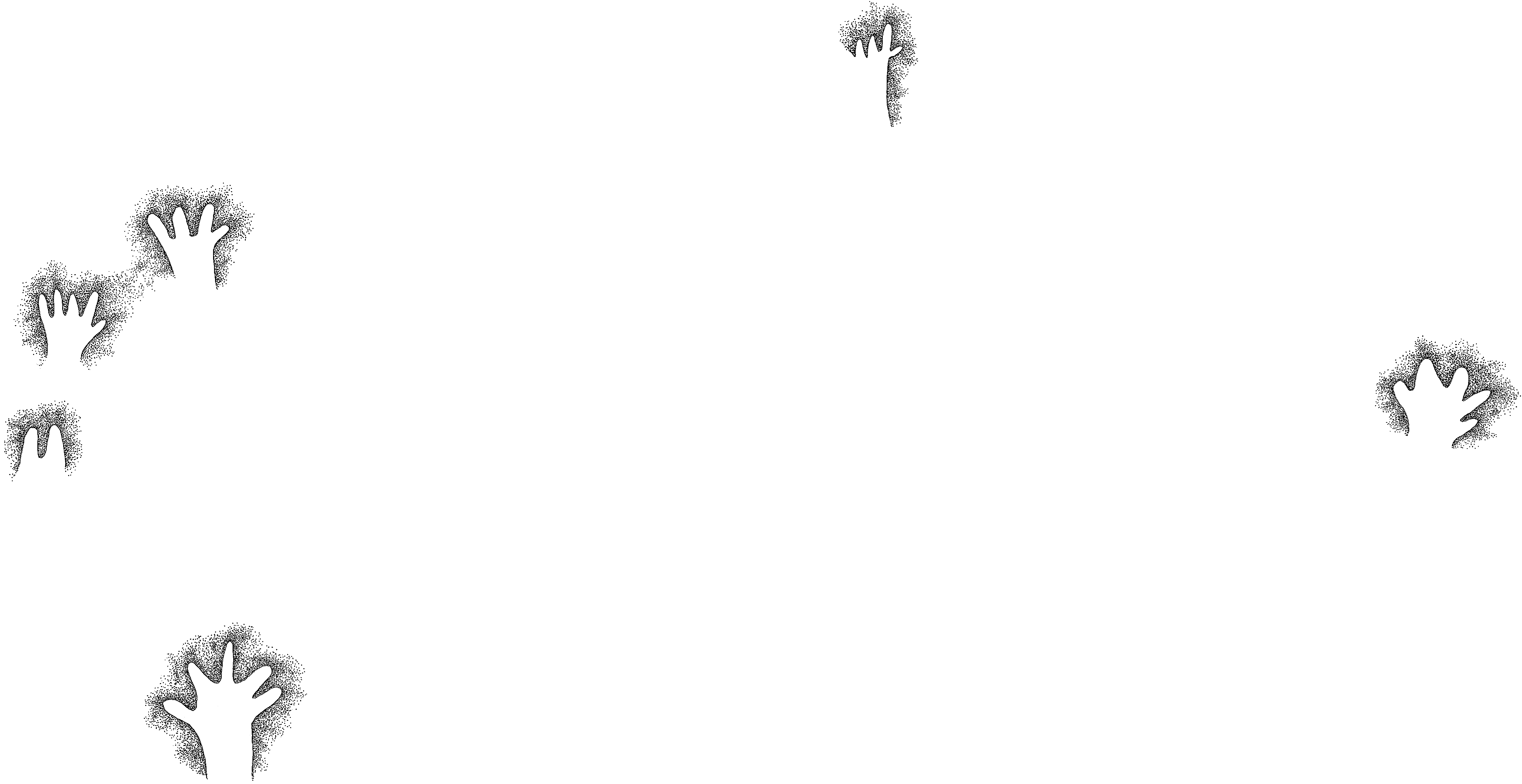 PIND/single/0005/161