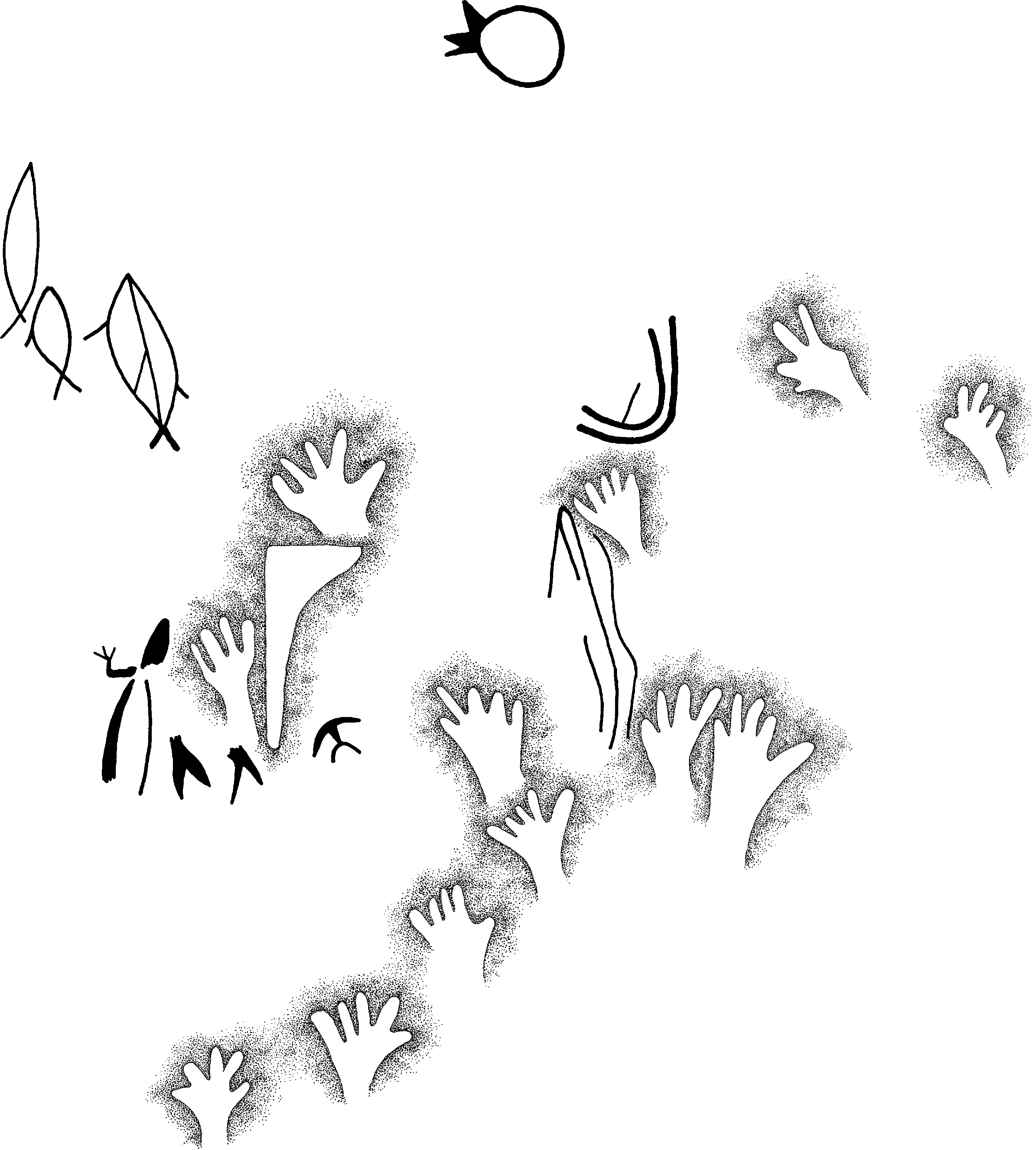 PIND/single/0005/162