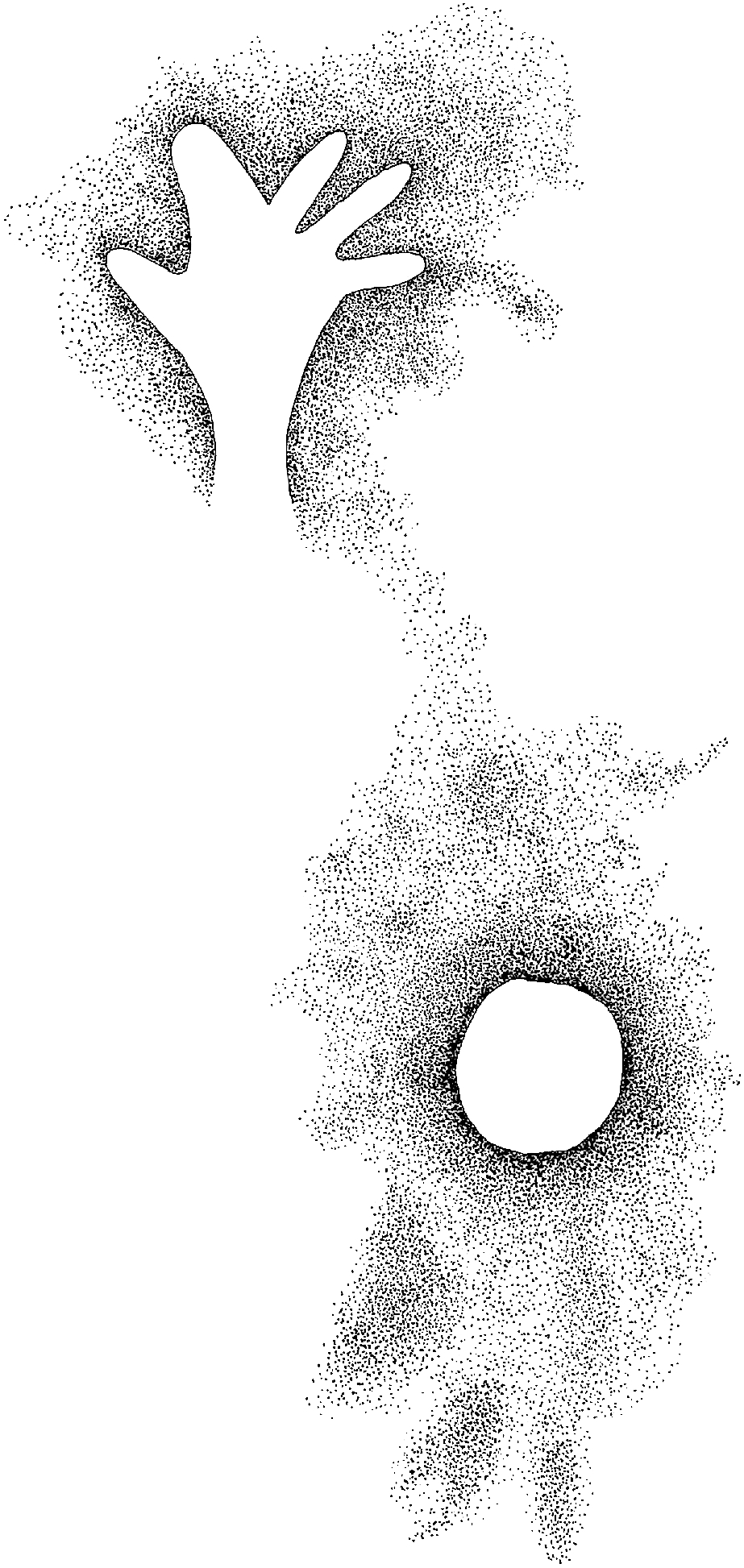 PIND/single/0005/172