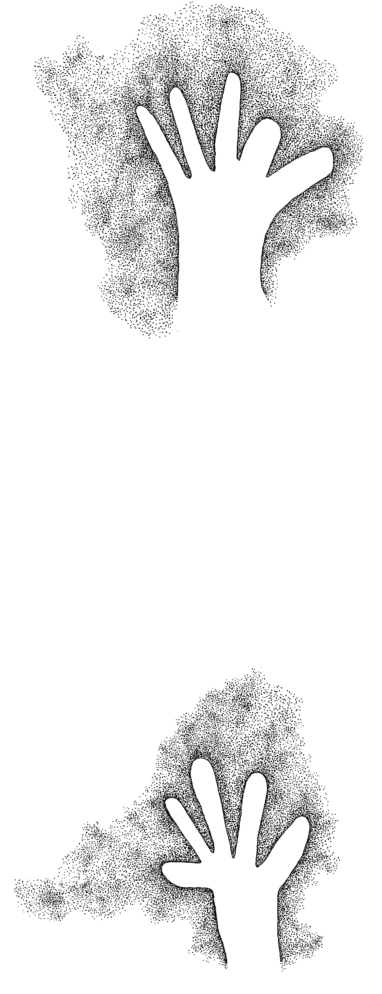 PIND/single/0005/179