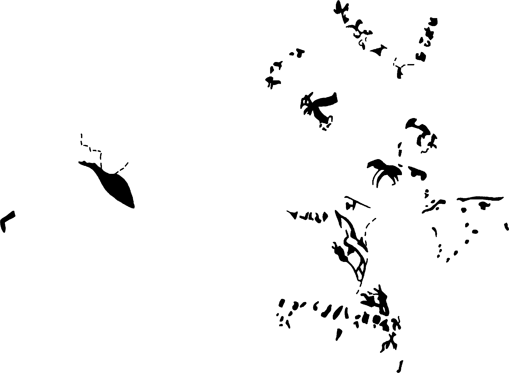 PIND/single/0005/183