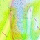 PIND/single/0005/187