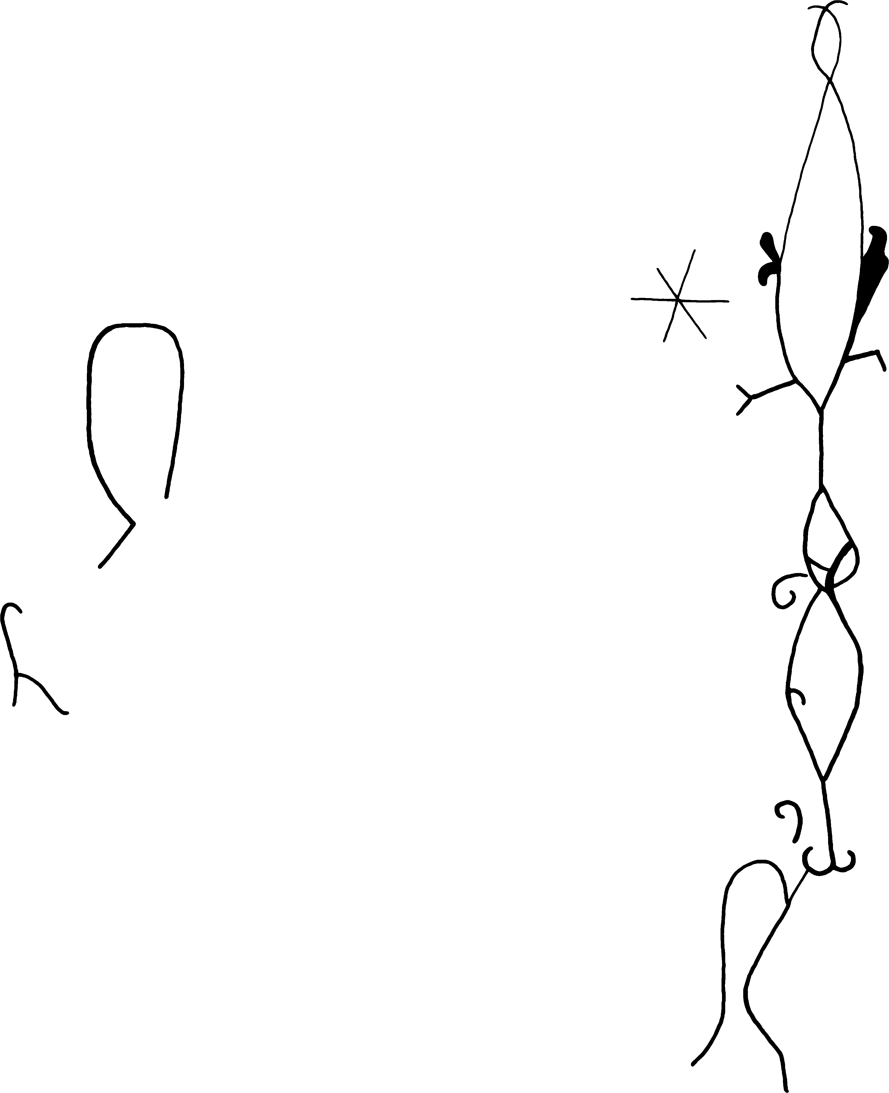 PIND/single/0006/0