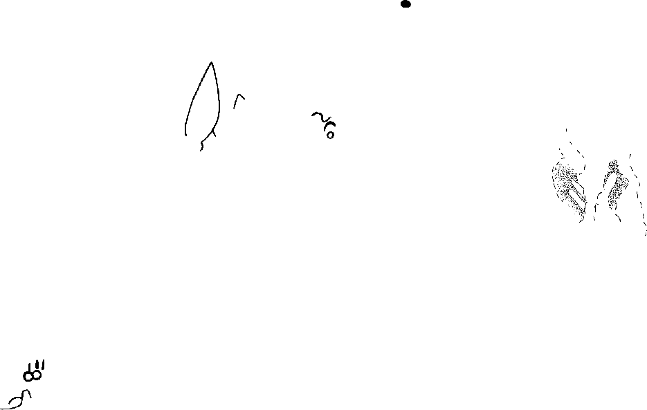PIND/single/0006/4