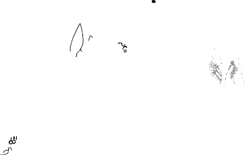PIND/single/0006/5