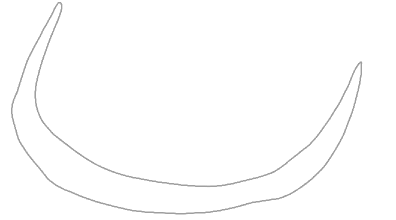 PIND/single/0006/10