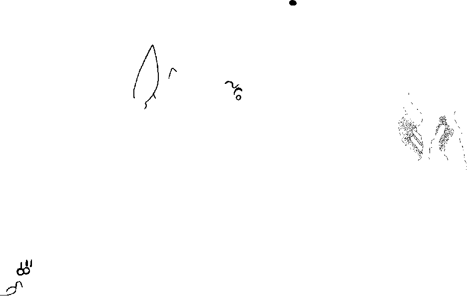 PIND/single/0006/6