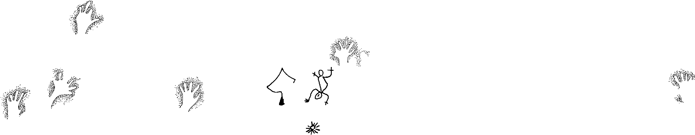 PIND/single/0006/7
