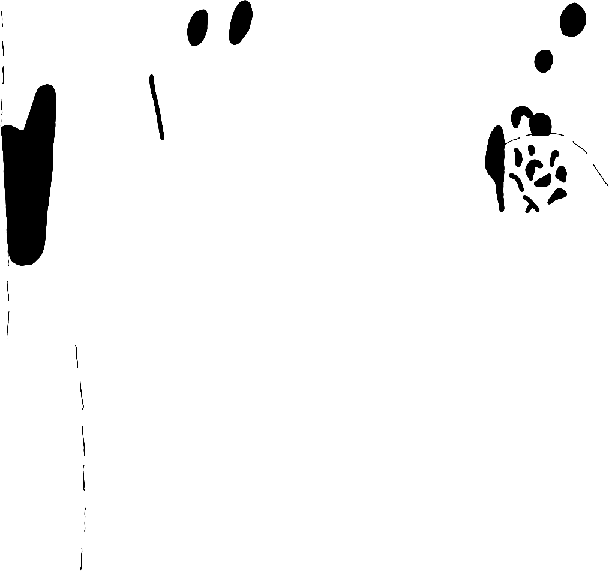 PIND/single/0006/29