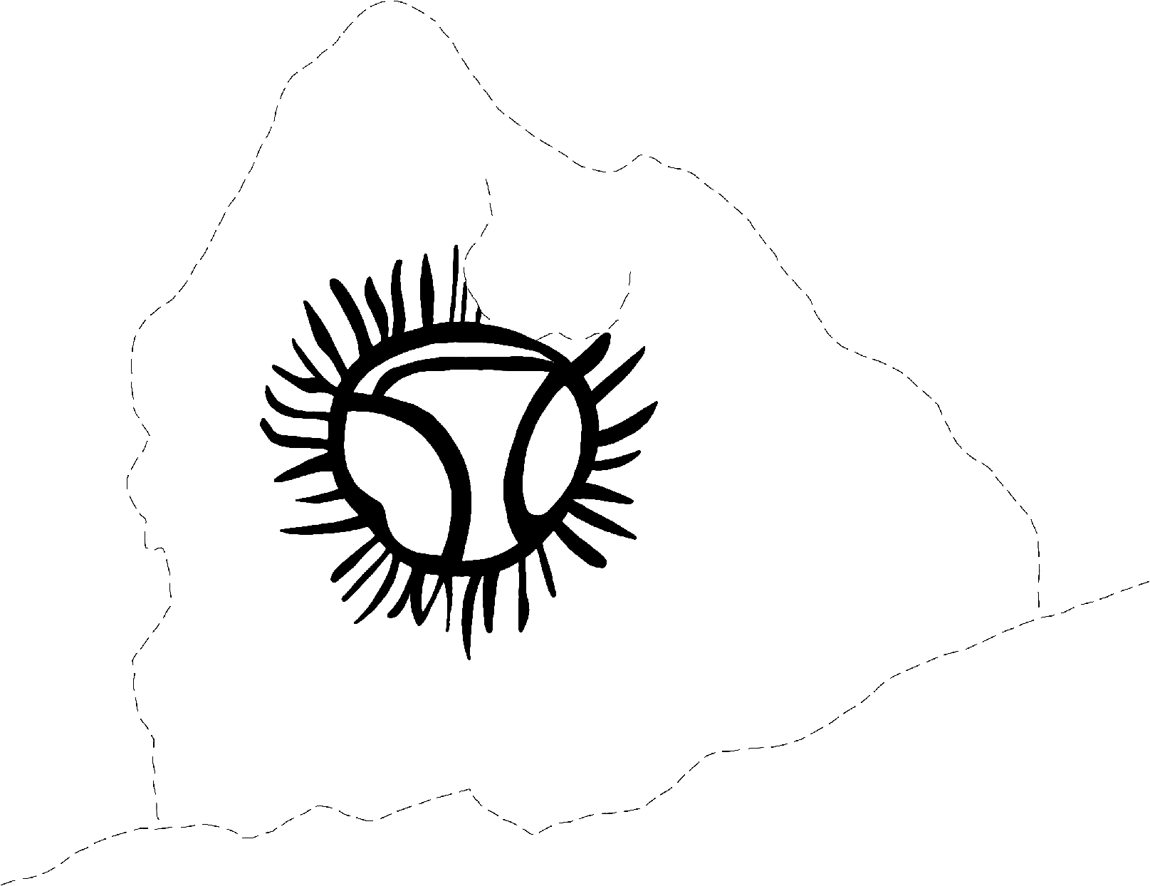 PIND/single/0006/33