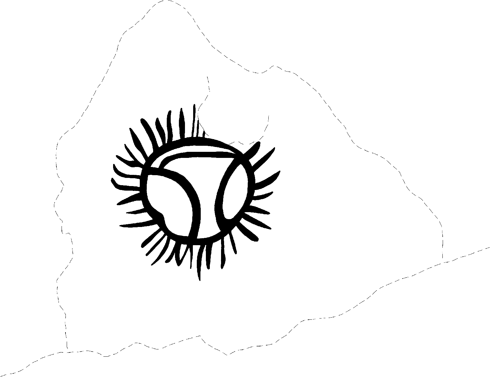 PIND/single/0006/35