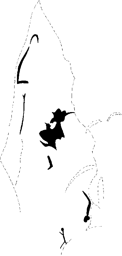 PIND/single/0006/43