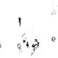 PIND/single/0006/54