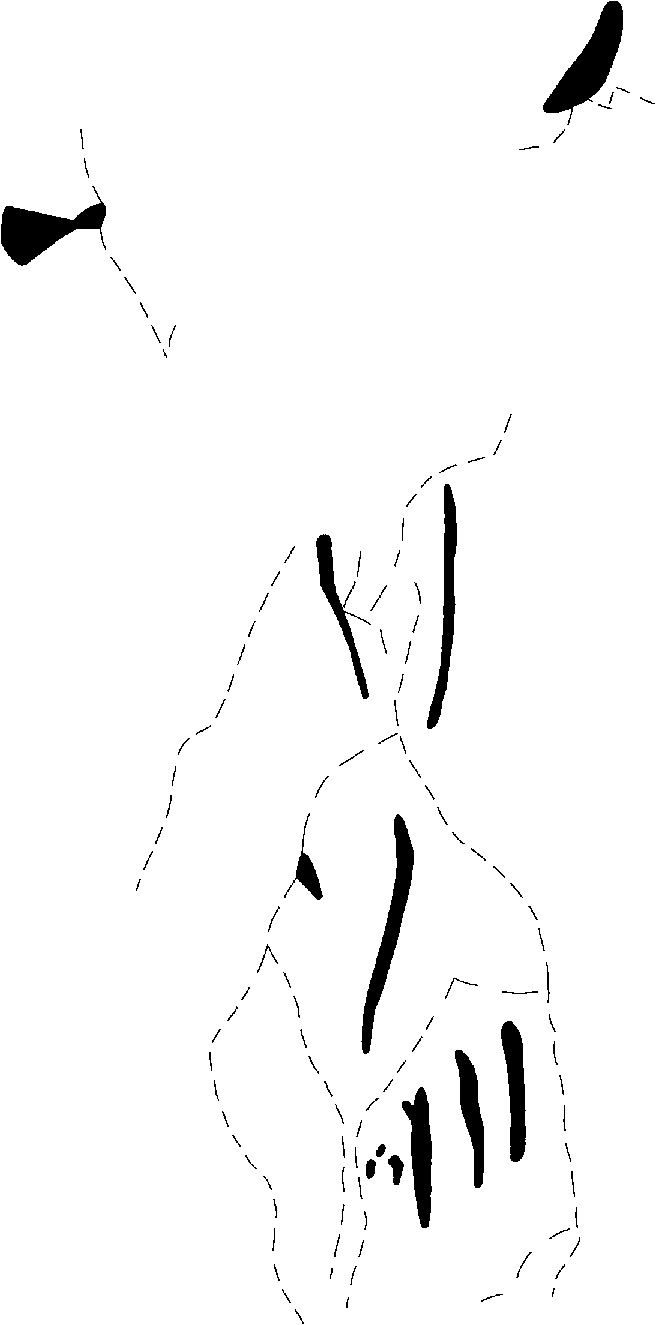 PIND/single/0006/64