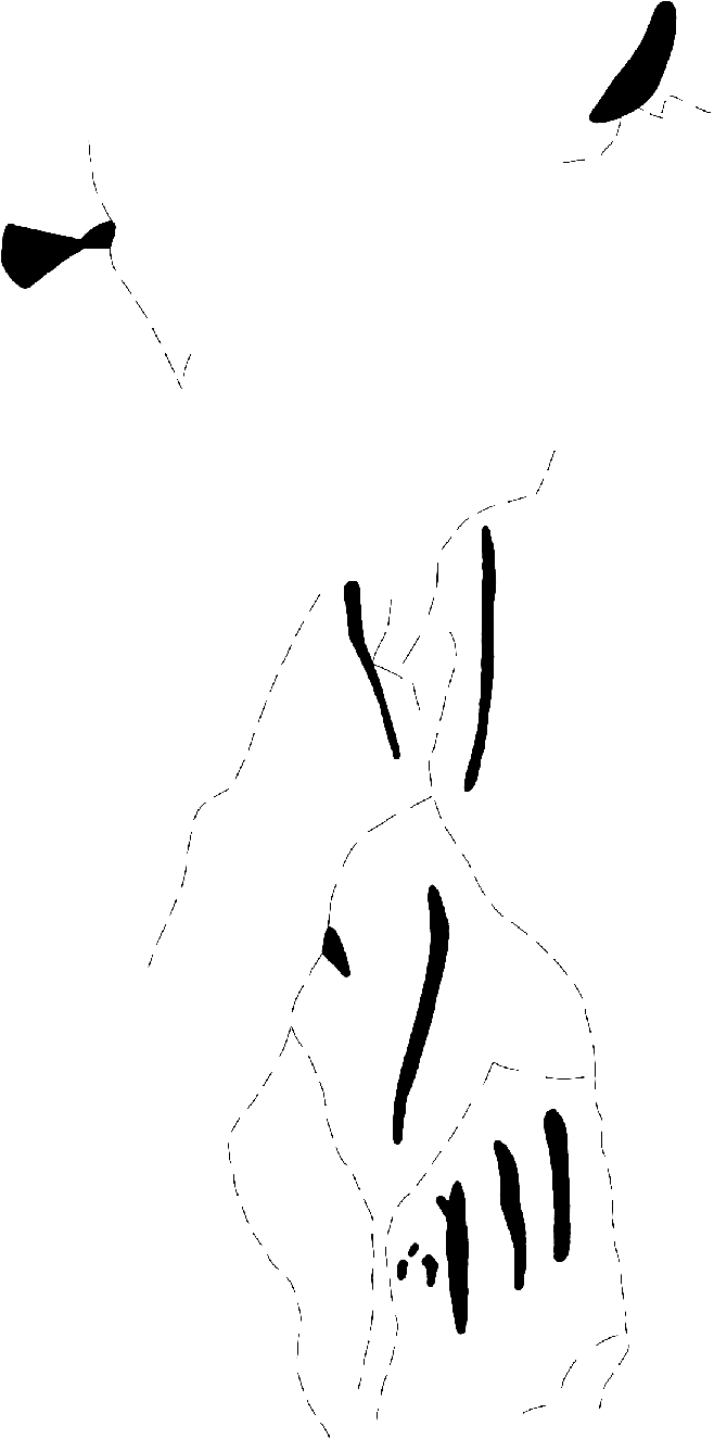 PIND/single/0006/65