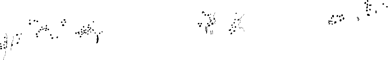 PIND/single/0006/73