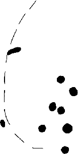PIND/single/0006/75